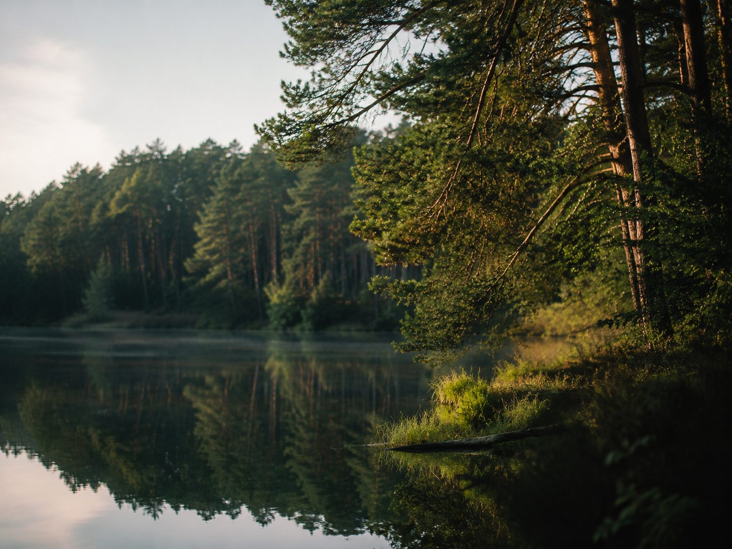Ruciane-Nida, Puszcza Piska, jezioro z lasem nad brzegiem
